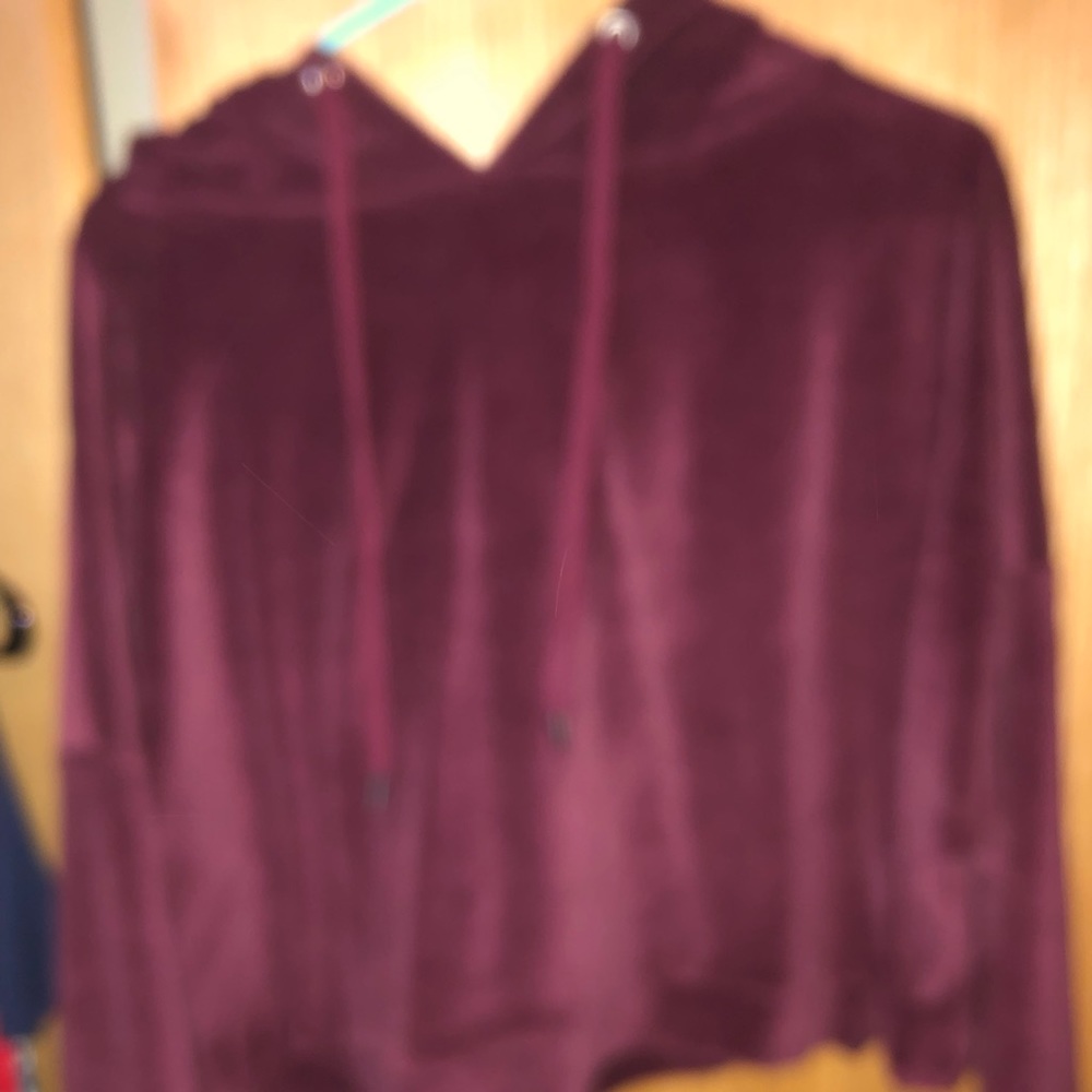 Velvet crop hoodie